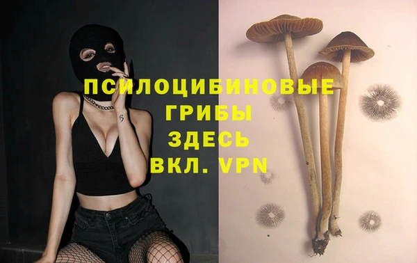 шишки Володарск