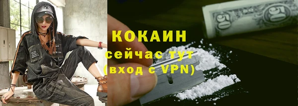 шишки Володарск