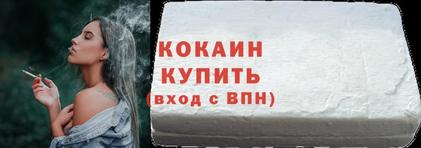 шишки Володарск