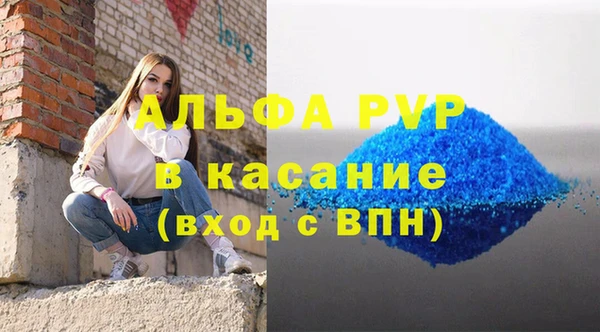 ГАЛЛЮЦИНОГЕННЫЕ ГРИБЫ Тавда