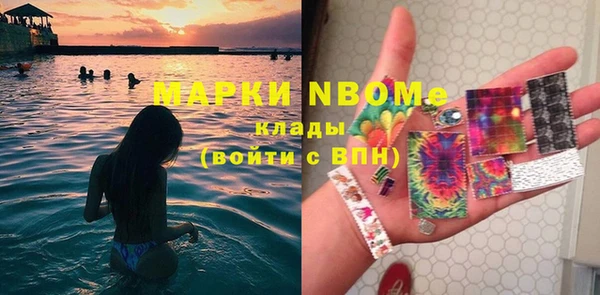 индика Тайга