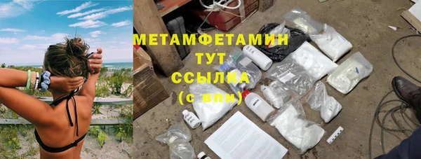 индика Тайга