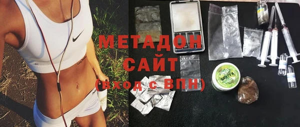 индика Тайга
