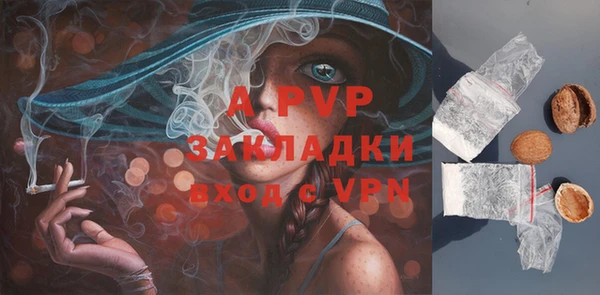 шишки Володарск